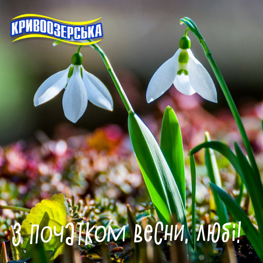 Прев'ю картинка для новини - З початком весни, любі!